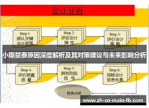 小斯禁赛原因深度解析及其对策建议与未来影响分析