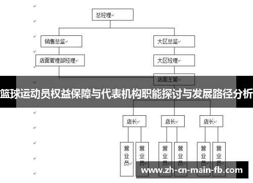 篮球运动员权益保障与代表机构职能探讨与发展路径分析