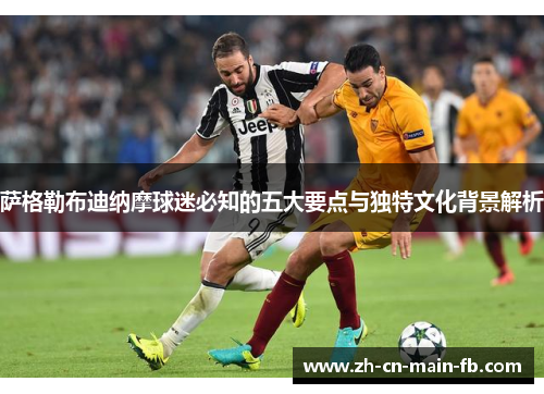 萨格勒布迪纳摩球迷必知的五大要点与独特文化背景解析