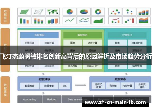 飞汀杰蔚阀敏排名创新高背后的原因解析及市场趋势分析